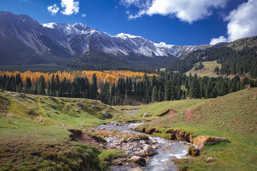 Фотография автора Татьяна Меньшикова