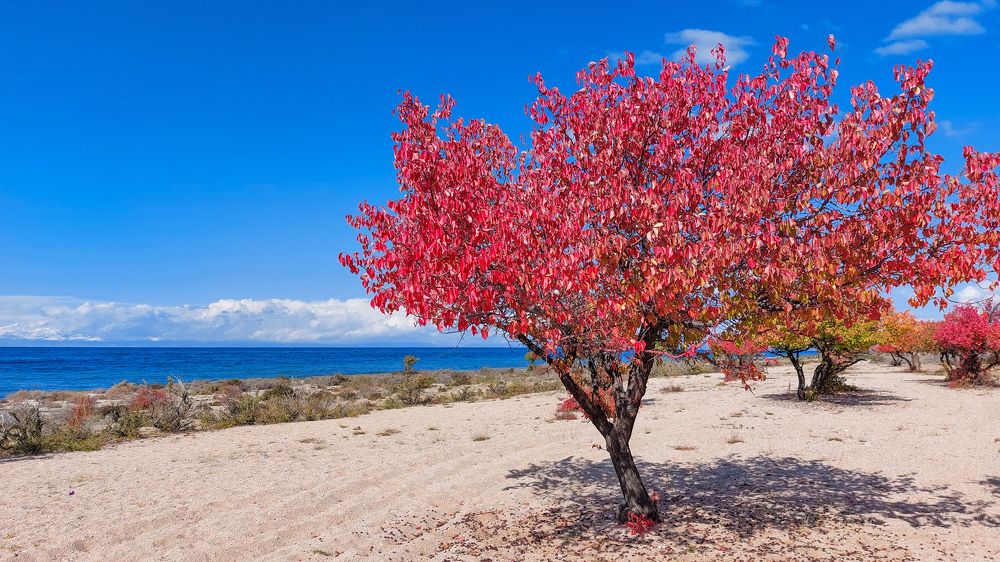 Фотография автора Татьяна Меньшикова