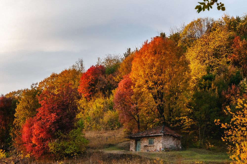 Photograph by Stefan Kamenov