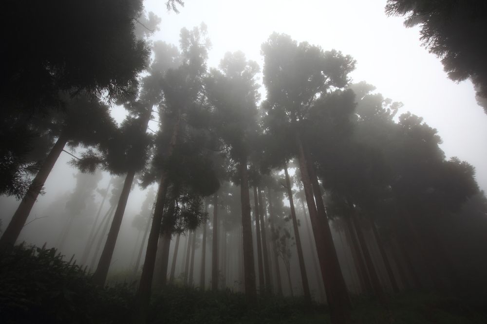 Photograph by Popa Alin