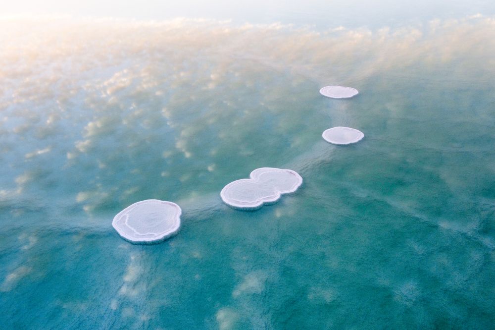 Photograph by Polina Gotovaya