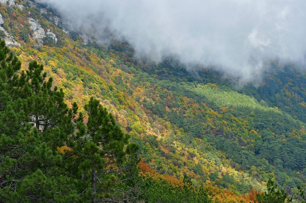 Photograph by Бахарева Людмила