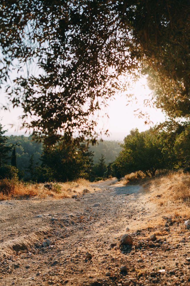 Photograph by Polina Gotovaya