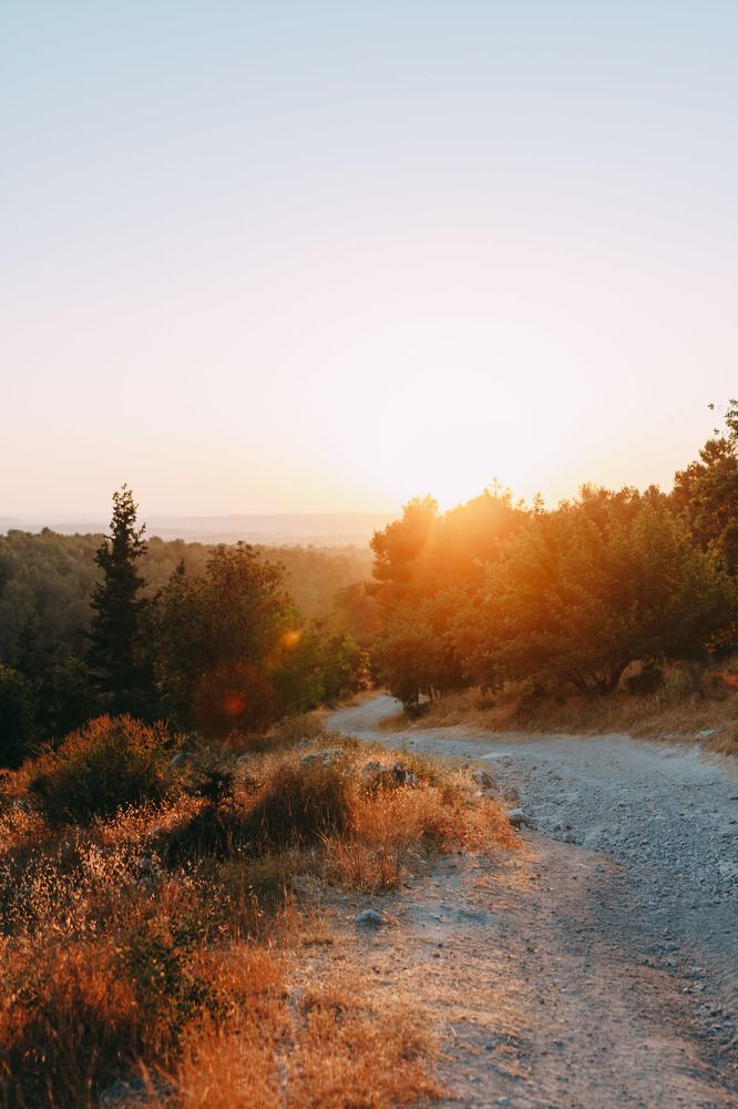 Photograph by Polina Gotovaya