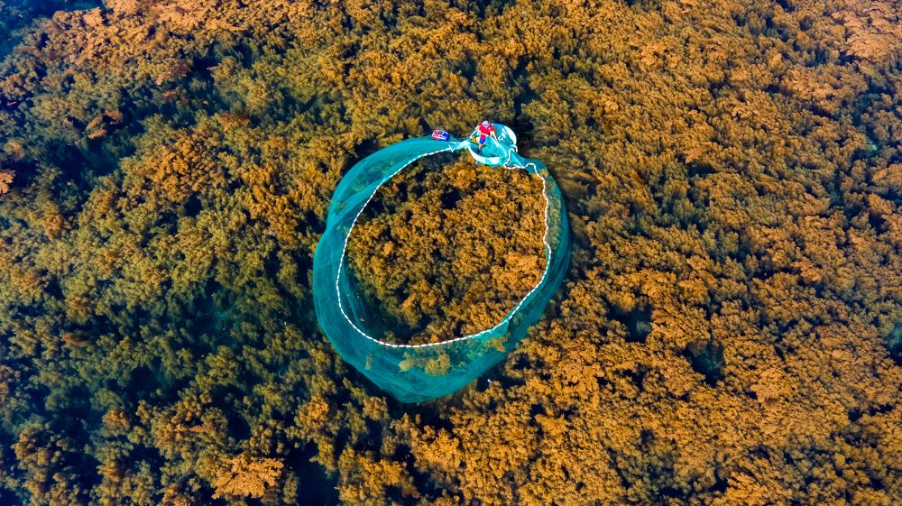 Photograph by Minh Tú Nguyễn