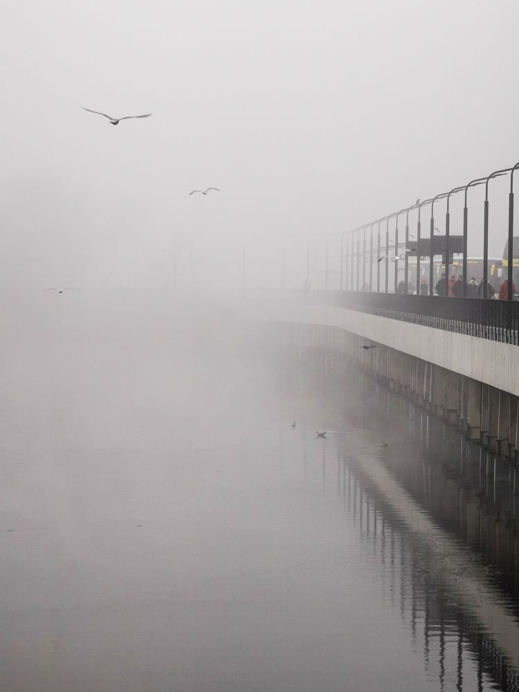 Фотография автора Дмитрий Лебедь