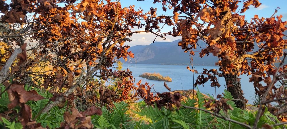 Photograph by Eichner Emily