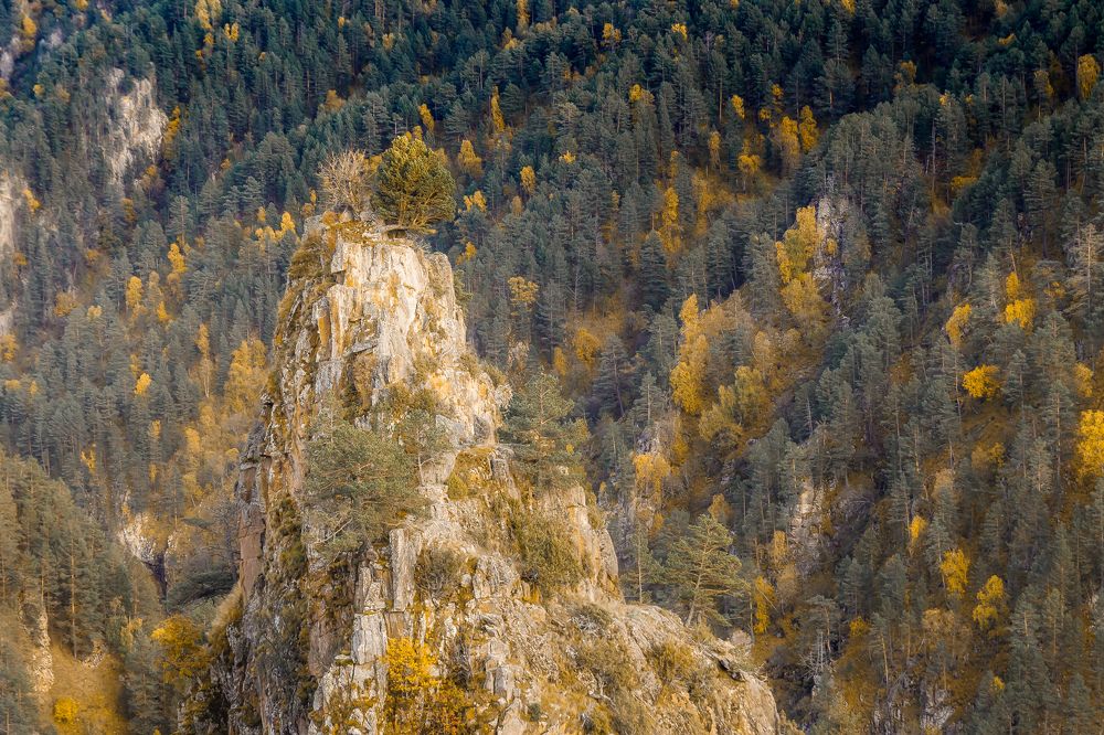 Photograph by Анатолий Чупрынин