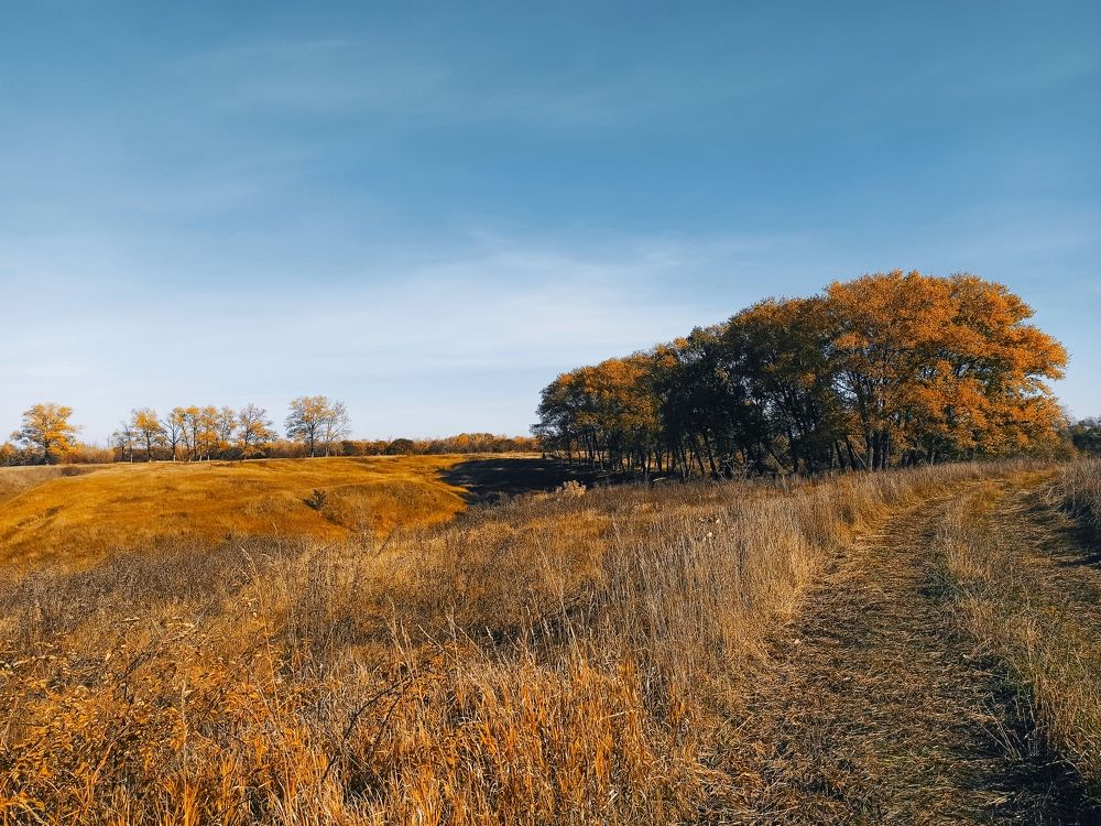 Photograph by Victoriia