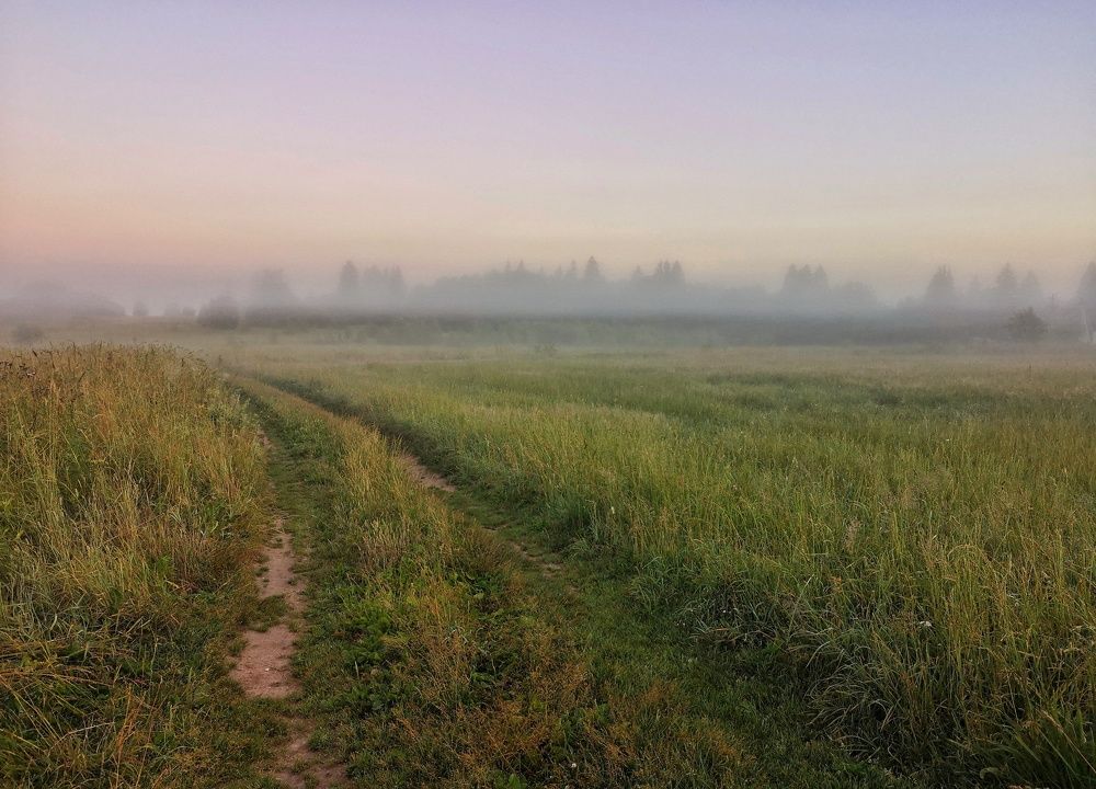 Фотография автора Елена Герасимова