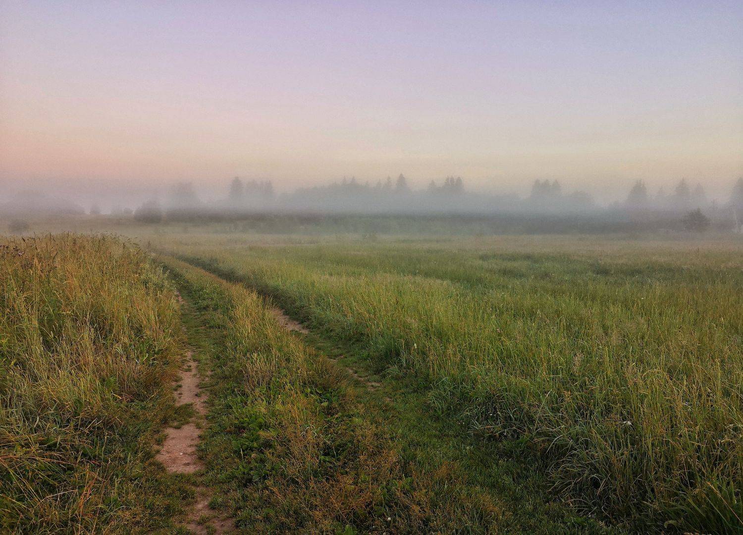 Photo #6739510