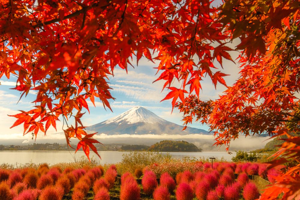 Фотография автора Takashi