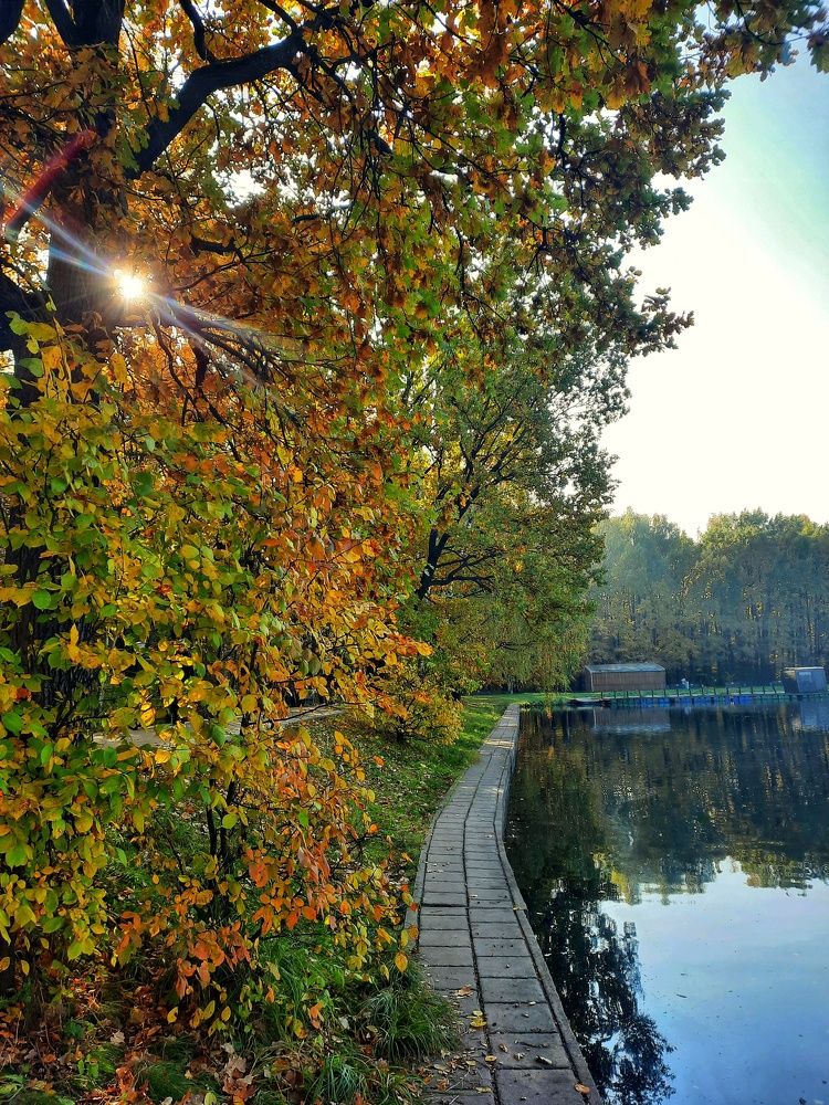 Photograph by Павел Борщев