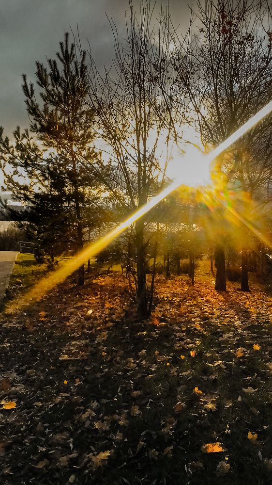 Фотография автора Татьяна Хуссейн