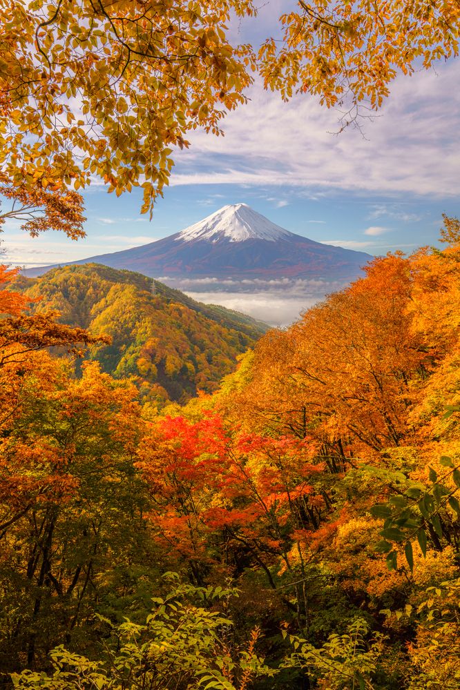 Фотография автора Takashi