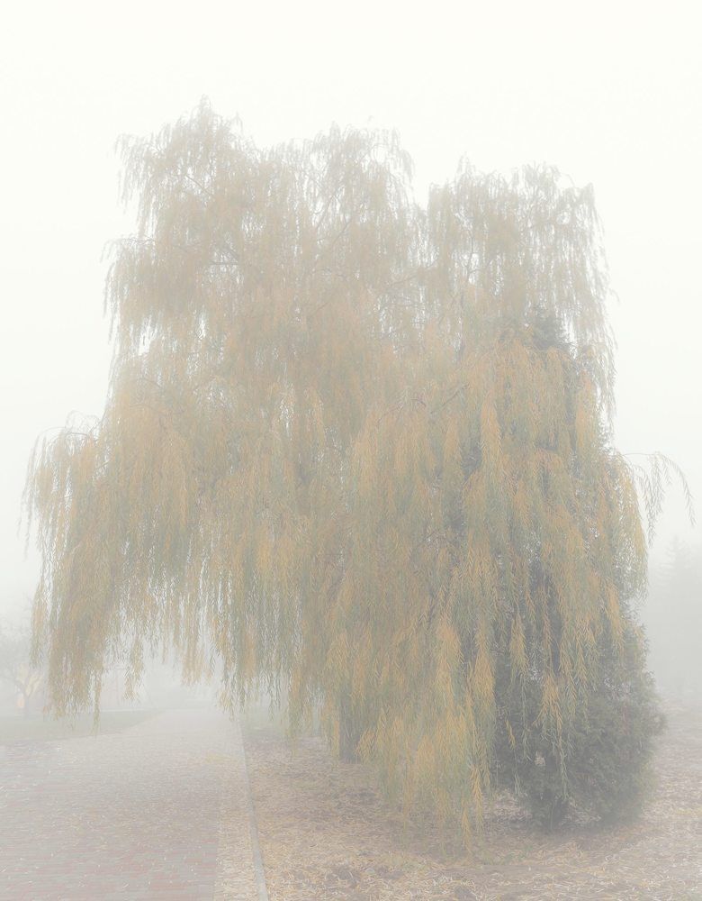 Фотография автора Валерий Невмержицкий