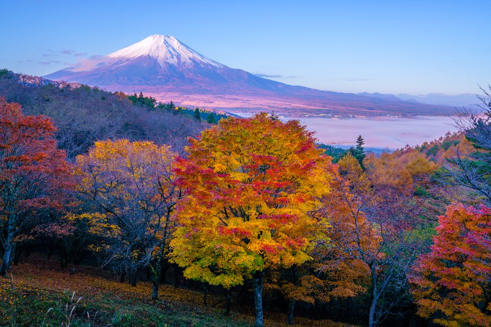 Фотография автора Takashi
