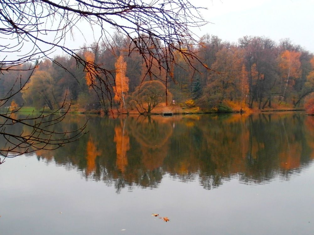 Photograph by ,Бурова Лариса