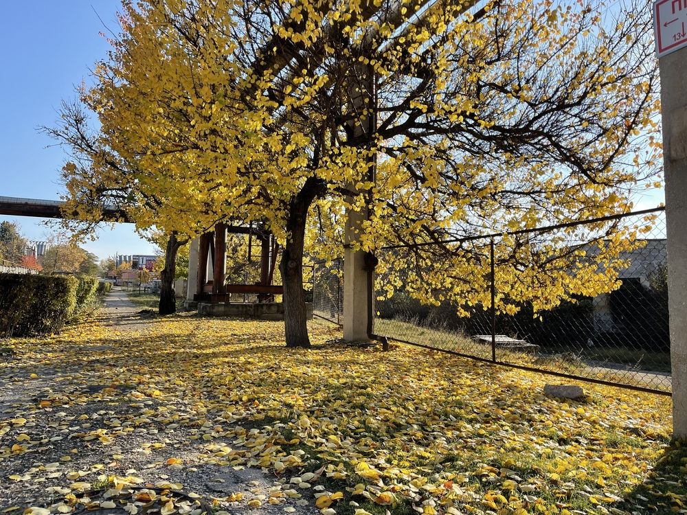 Photograph by Мария Ковригина