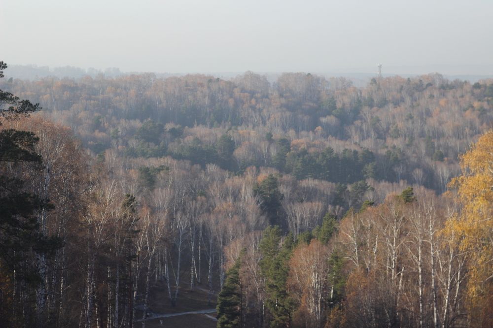 Photograph by Станислав Карнаухов