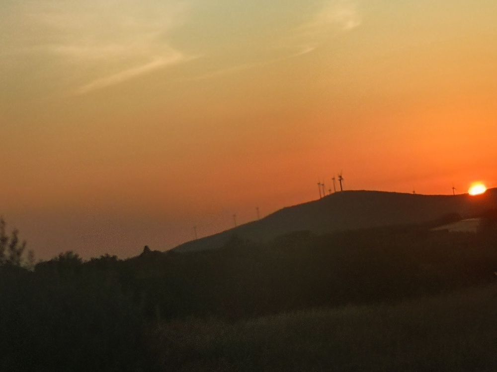 Photograph by Estrella