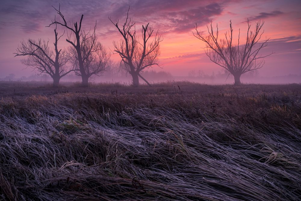 Photograph by Sławomir Sot