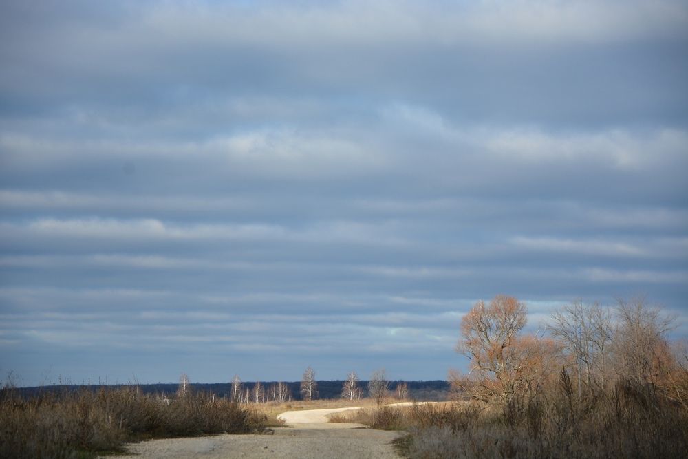 Photograph by Svetlana Nemontova