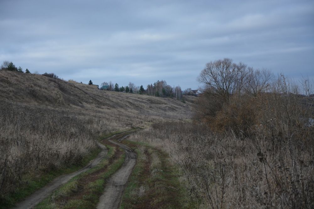 Photograph by Svetlana Nemontova