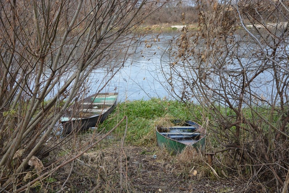 Photograph by Svetlana Nemontova