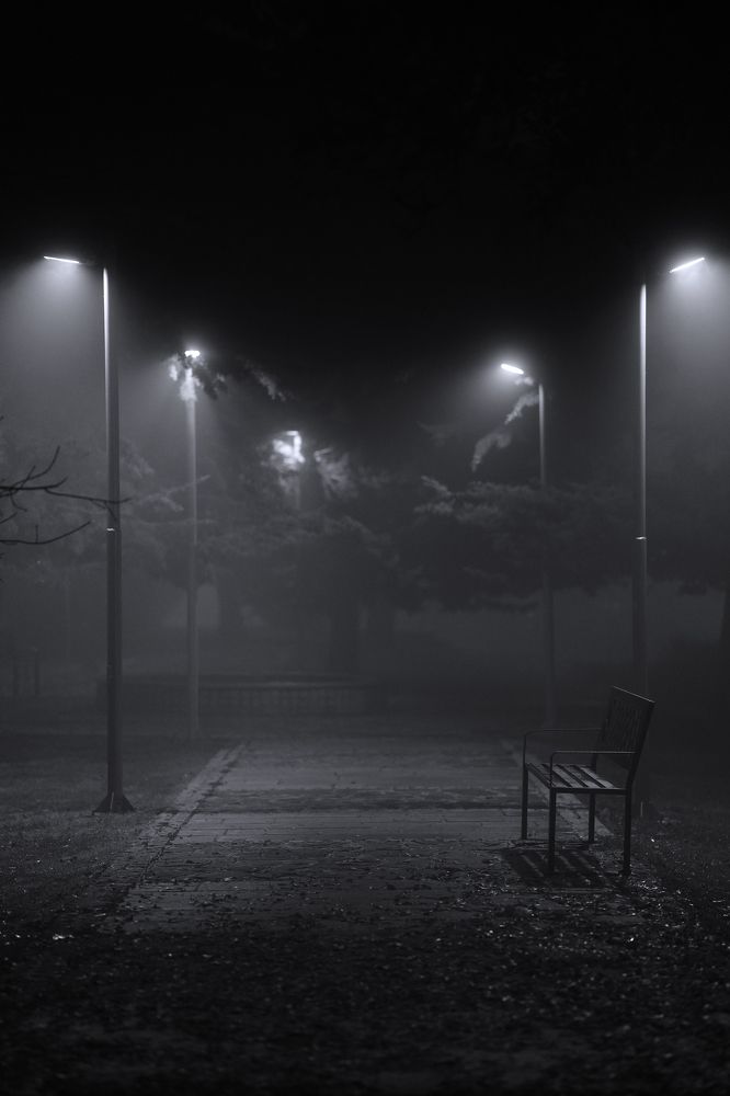 Photograph by Jalil Saeedi