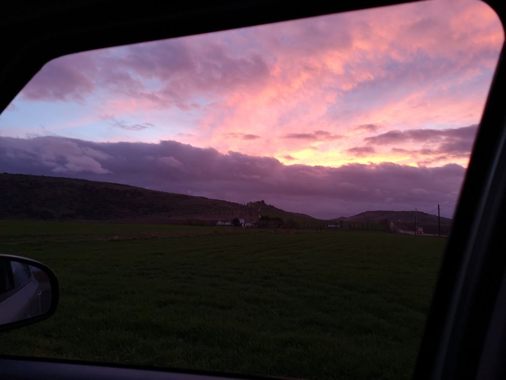 Photograph by Estrella