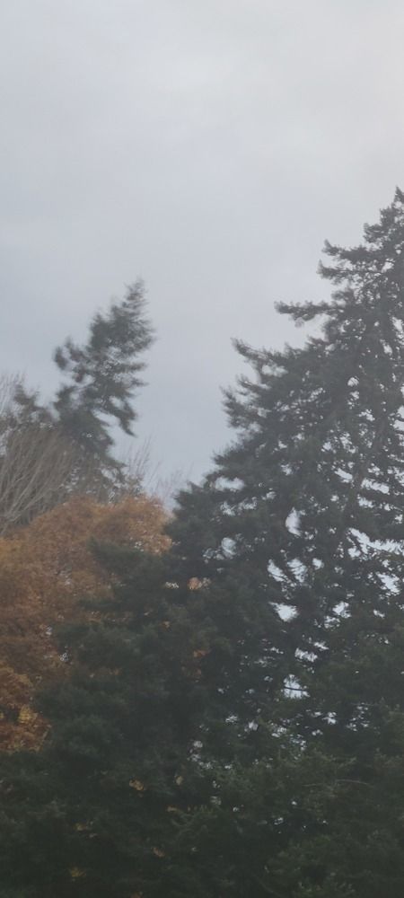 Photograph by Eichner Emily