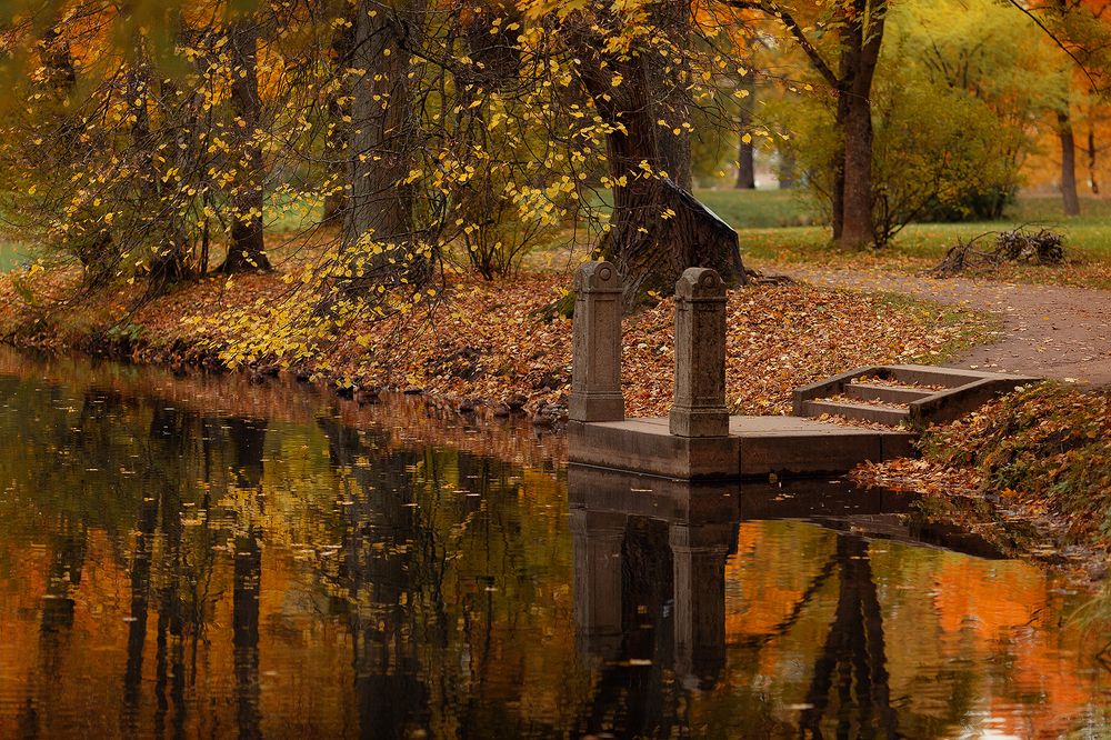 Photograph by Чистякова Валерия