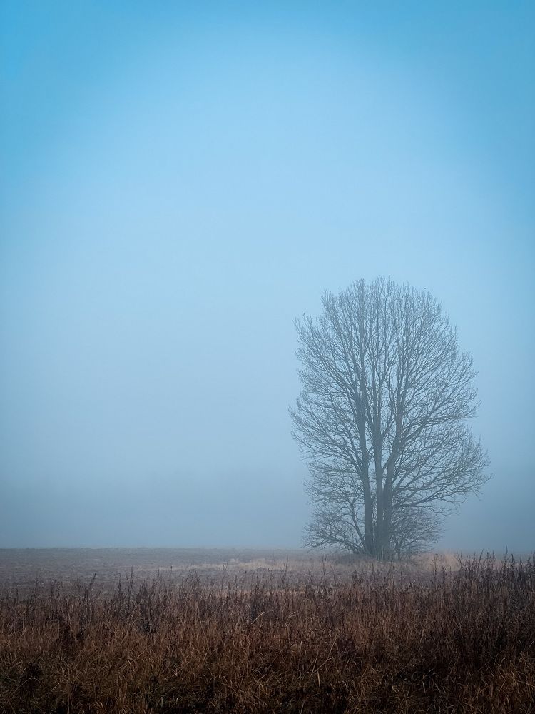 Photograph by Рината Горбацевич