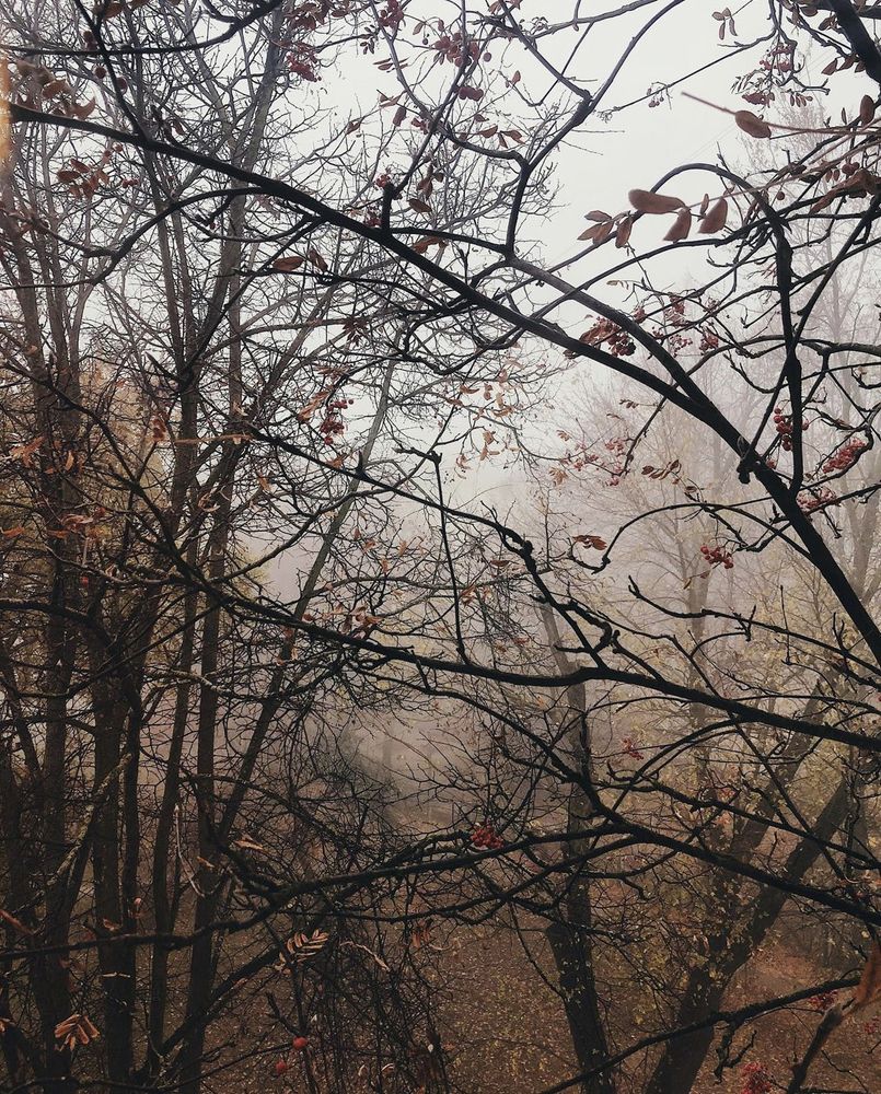 Photograph by Рината Горбацевич