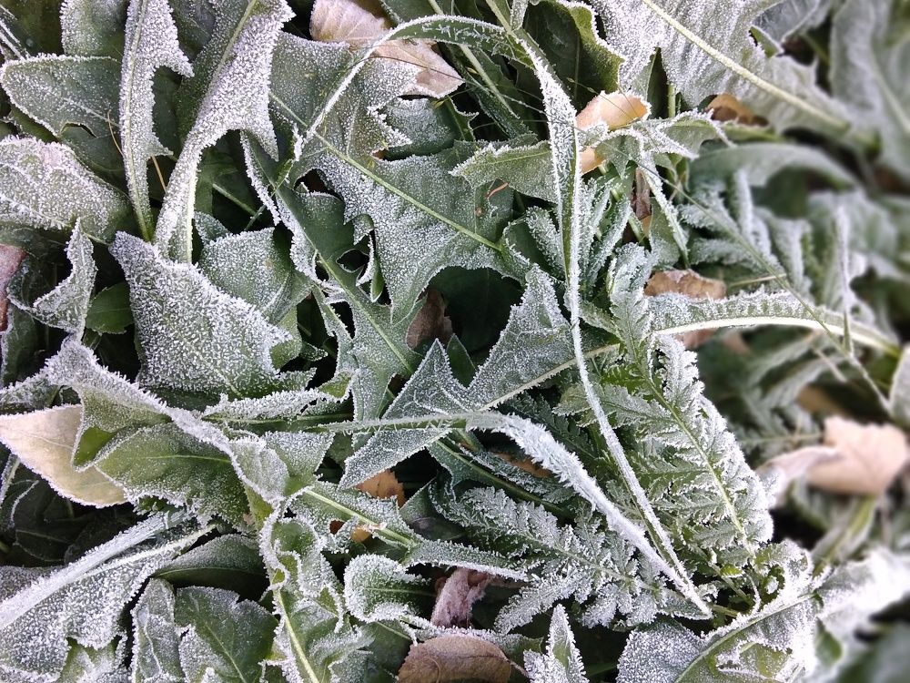 Photograph by Кирилл Попов