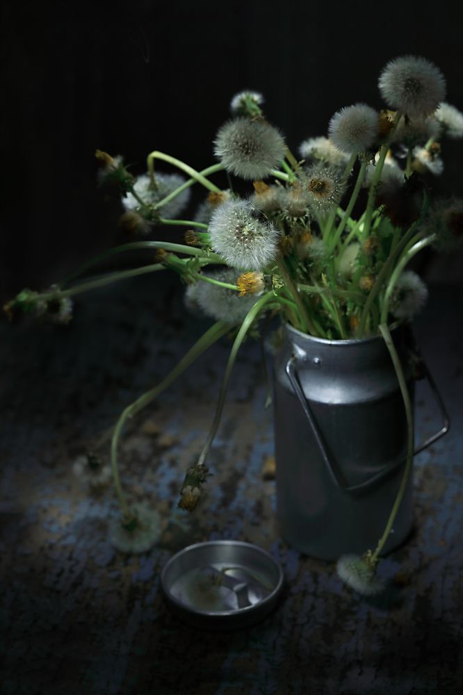 Photograph by Наталья Бочкарева