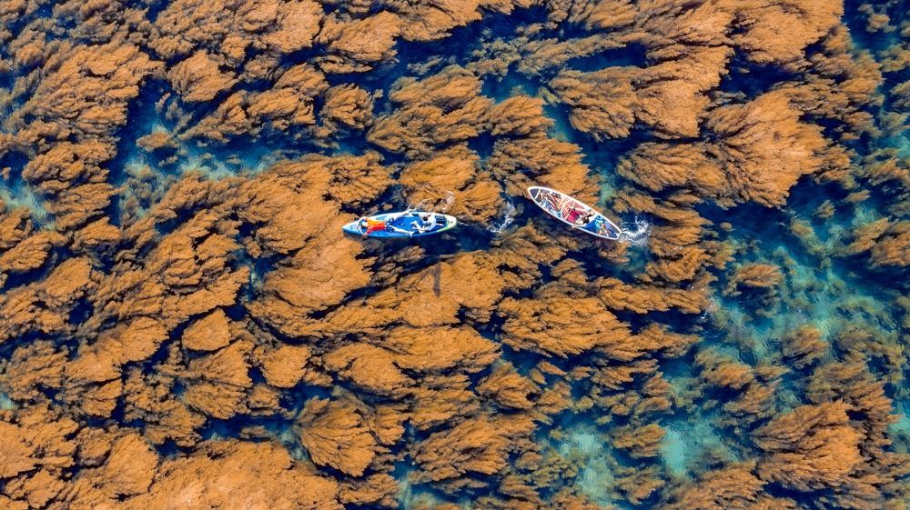 Photograph by Minh Tú Nguyễn