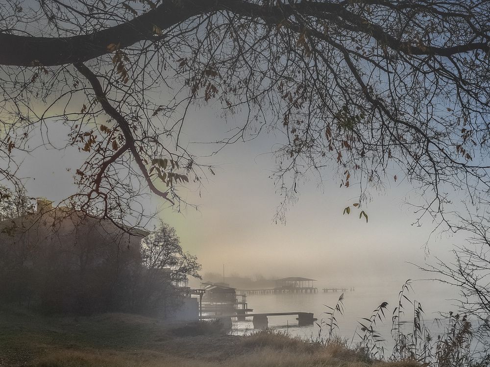 Photograph by Лариса Когтева