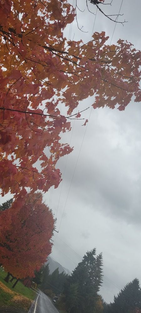 Photograph by Eichner Emily