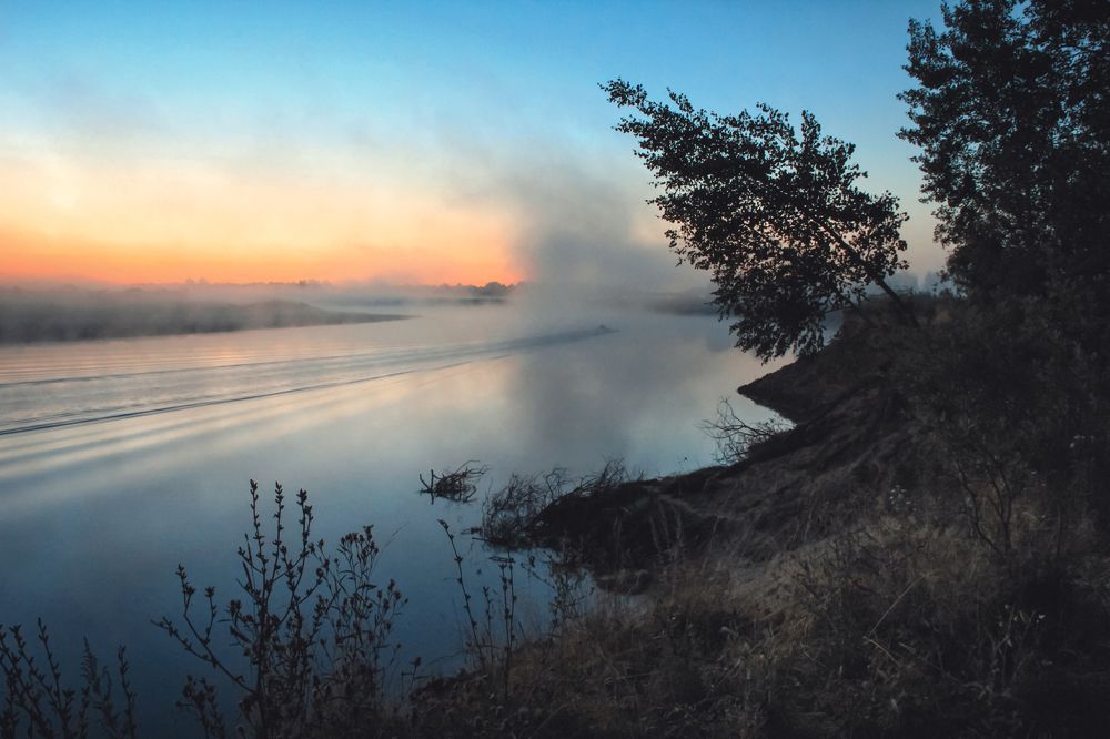 Туманы августа