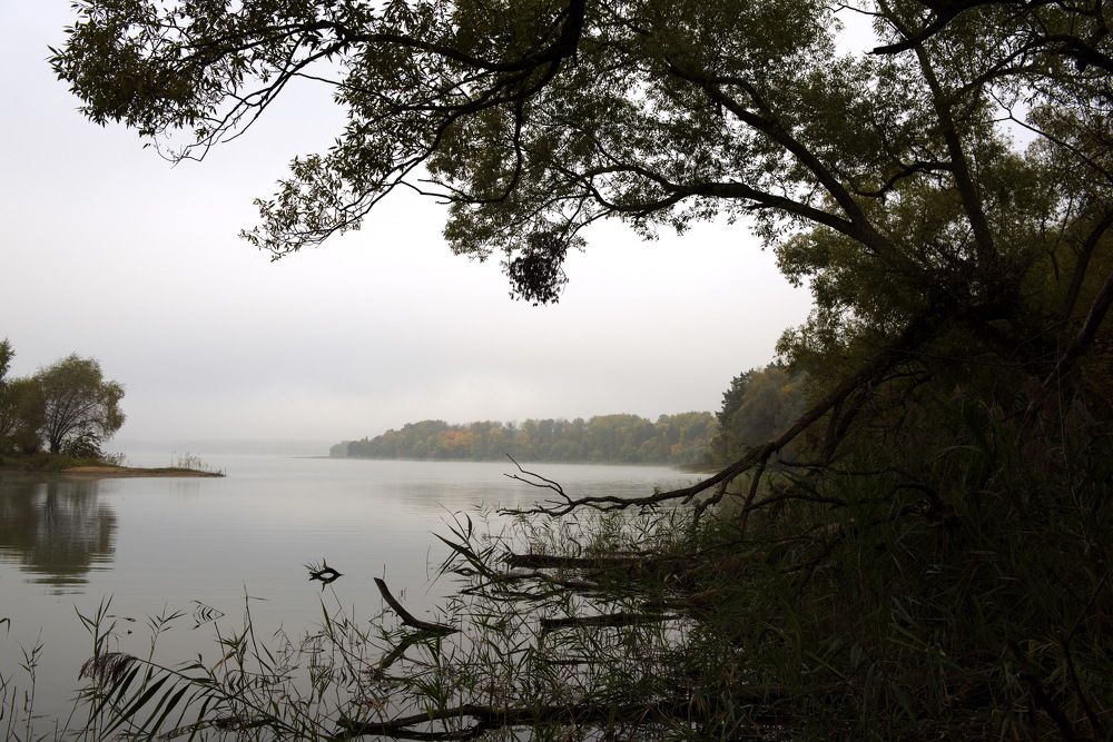 Photograph by Александр Кращук