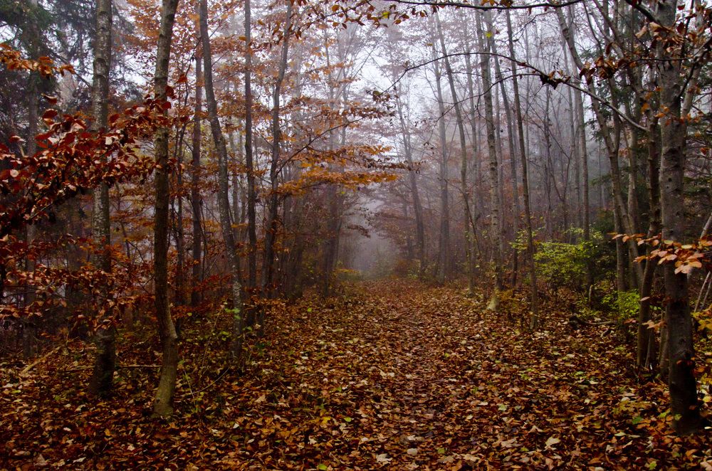 Photograph by Константин Ефимов