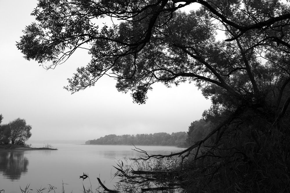 Photograph by Александр Кращук