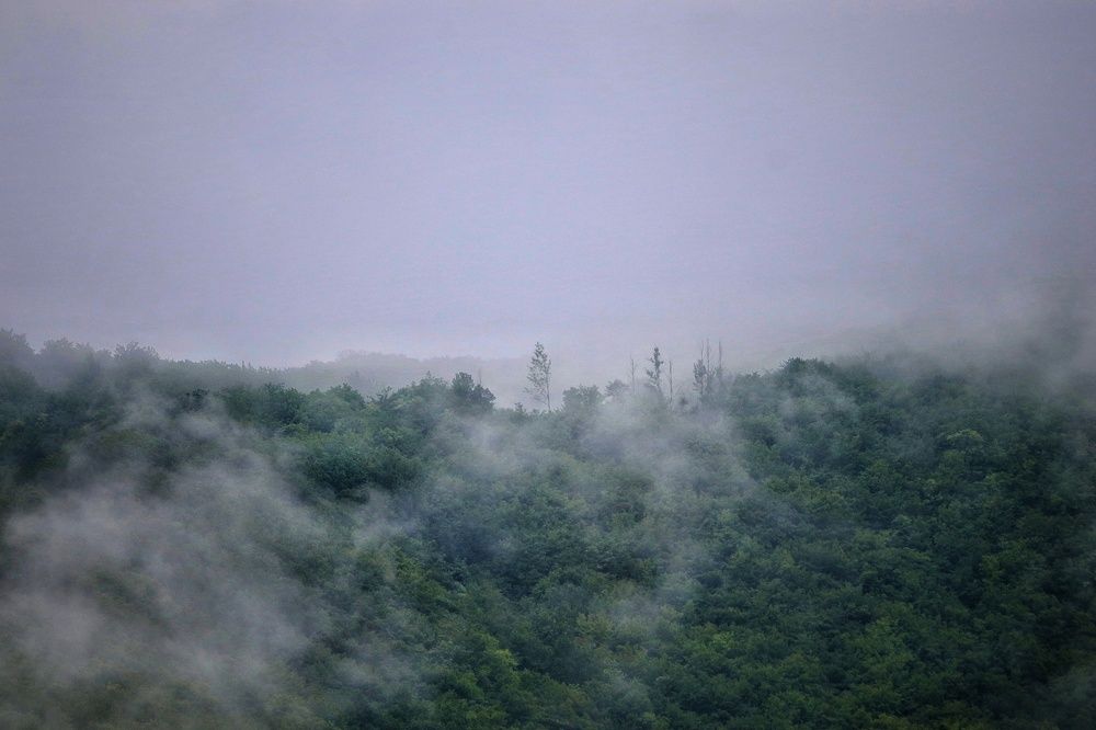 Photograph by Keyvan Hosine pour