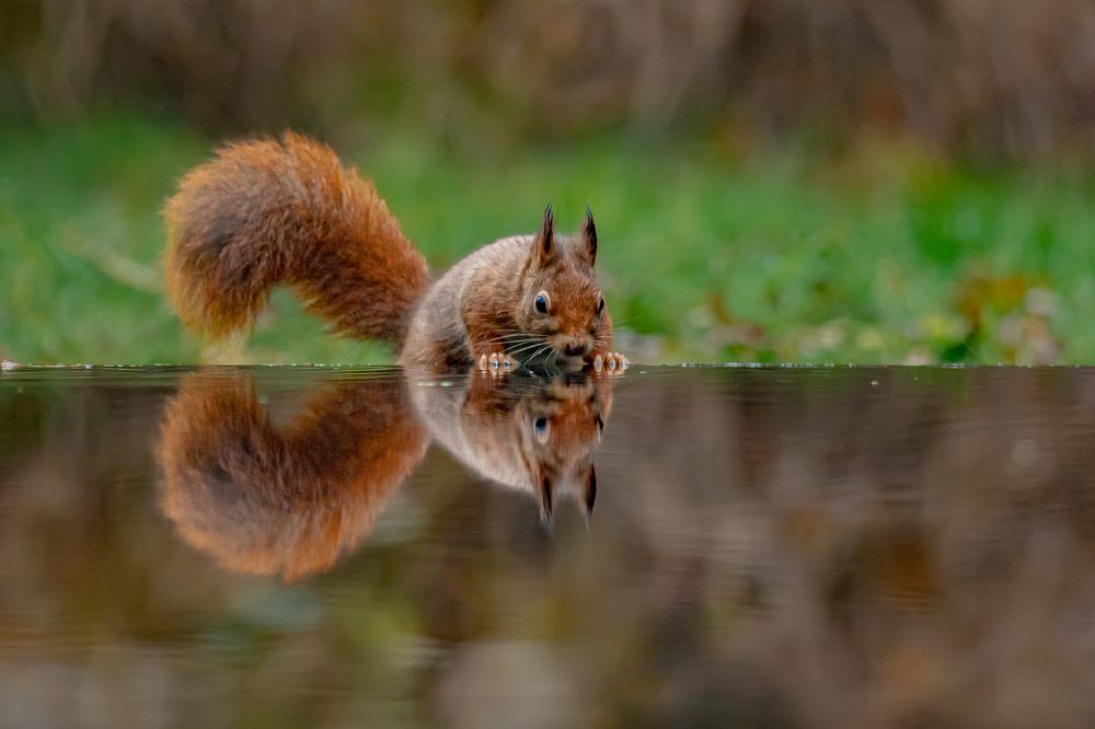 Photograph by Ellen Lichtenheldt