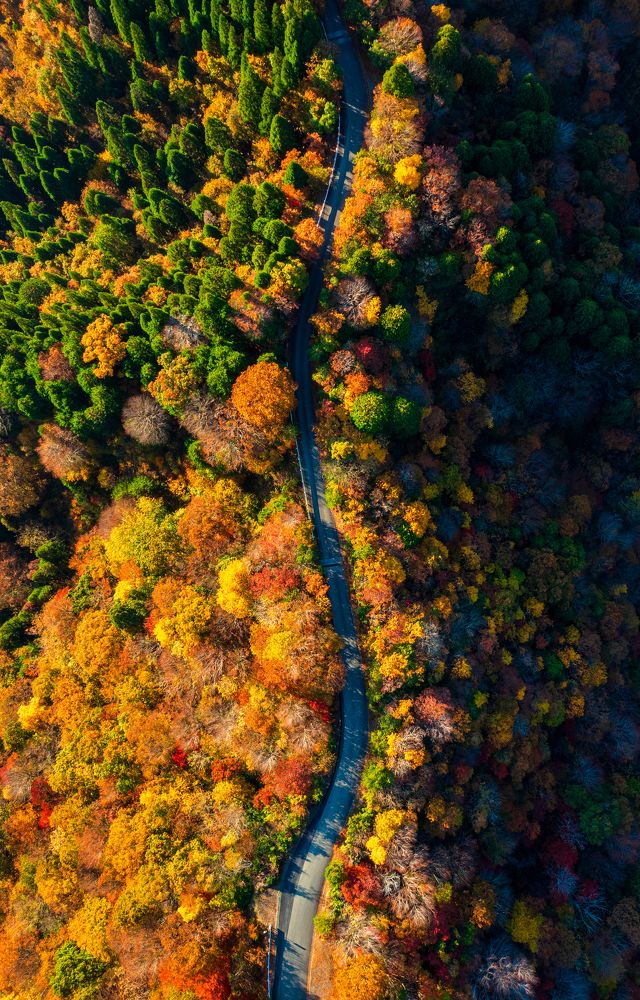 Photograph by si ong the