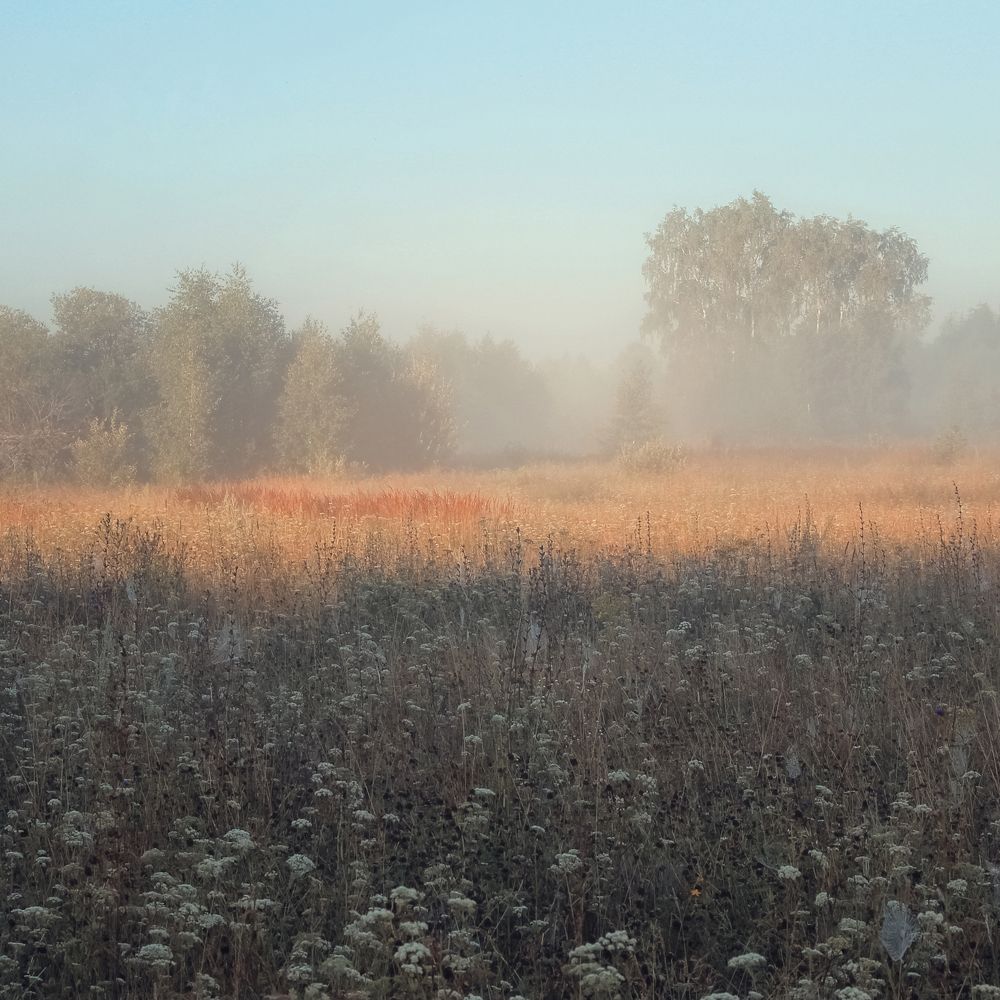 Photograph by Ольга Томилова