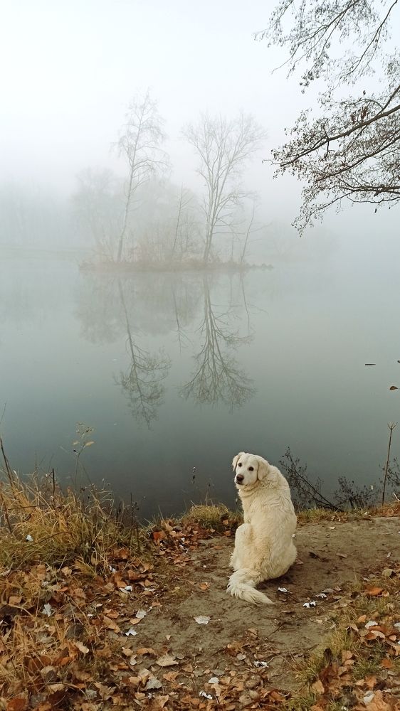 Фотография автора Оксана Талан