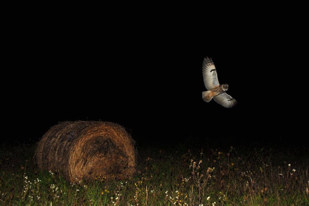 Photograph by Юрий Яковлев